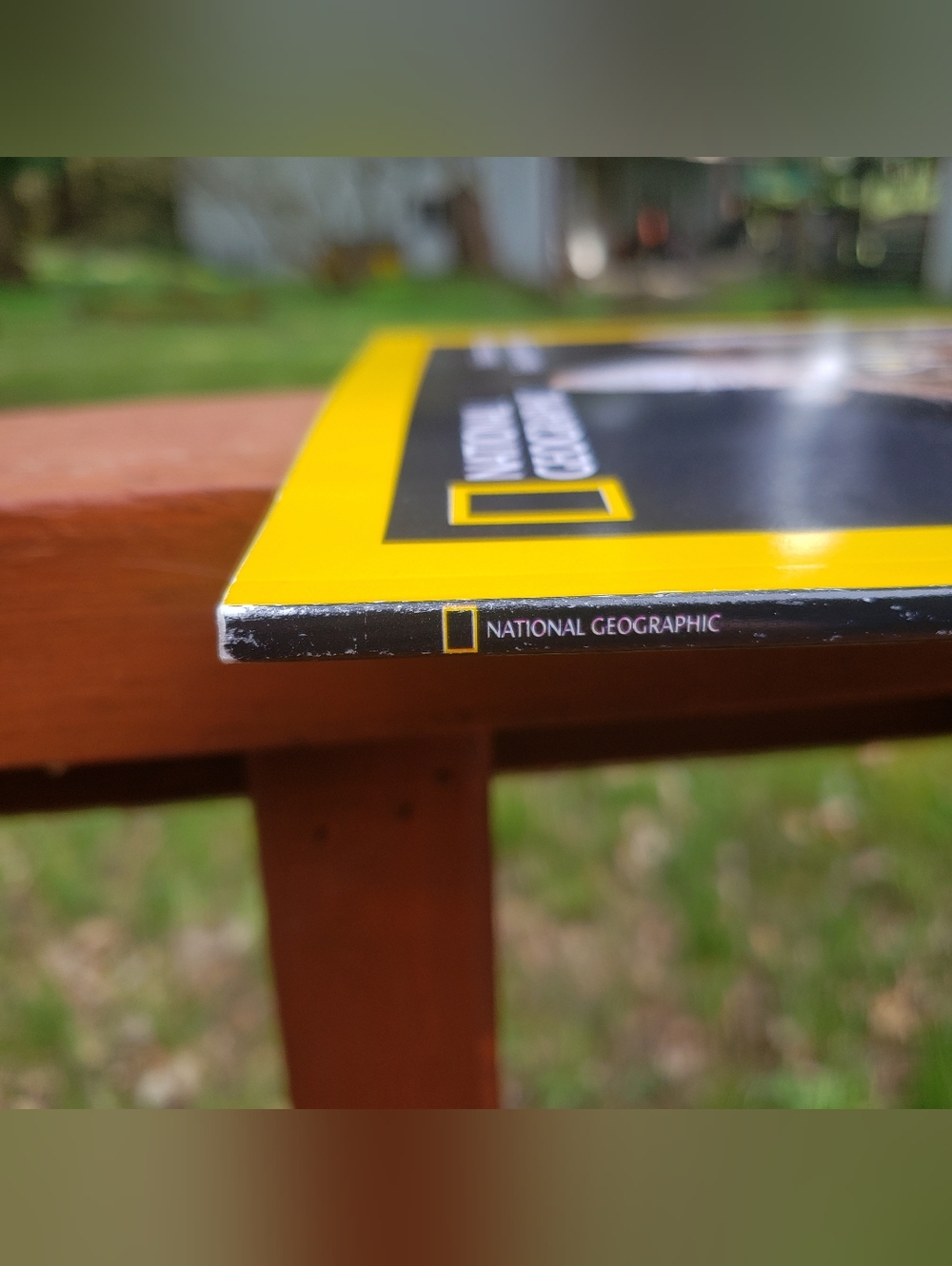 National Geographic The Genius Of Cats Special Publication - 12/2025 - Picture 3 of 10